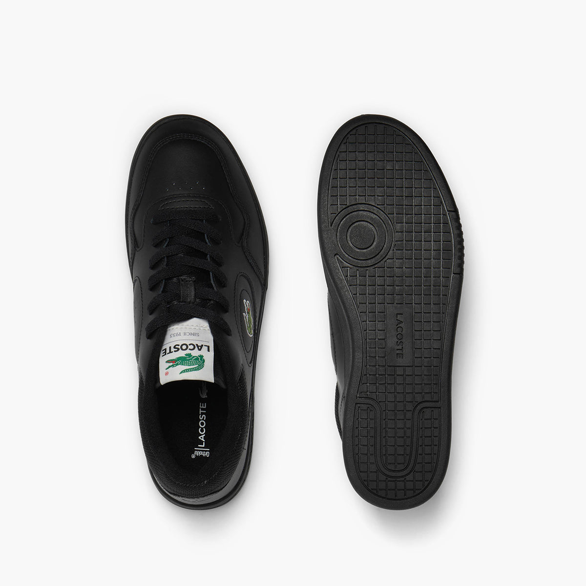 Lineset Leather Trainers