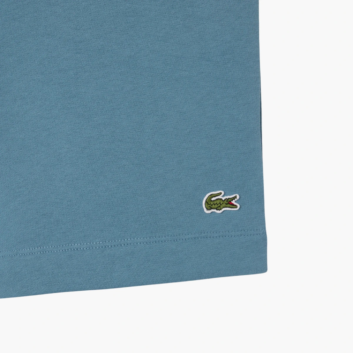 Regular Fit Fleece Shorts